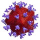 HIV Genotypic Assay